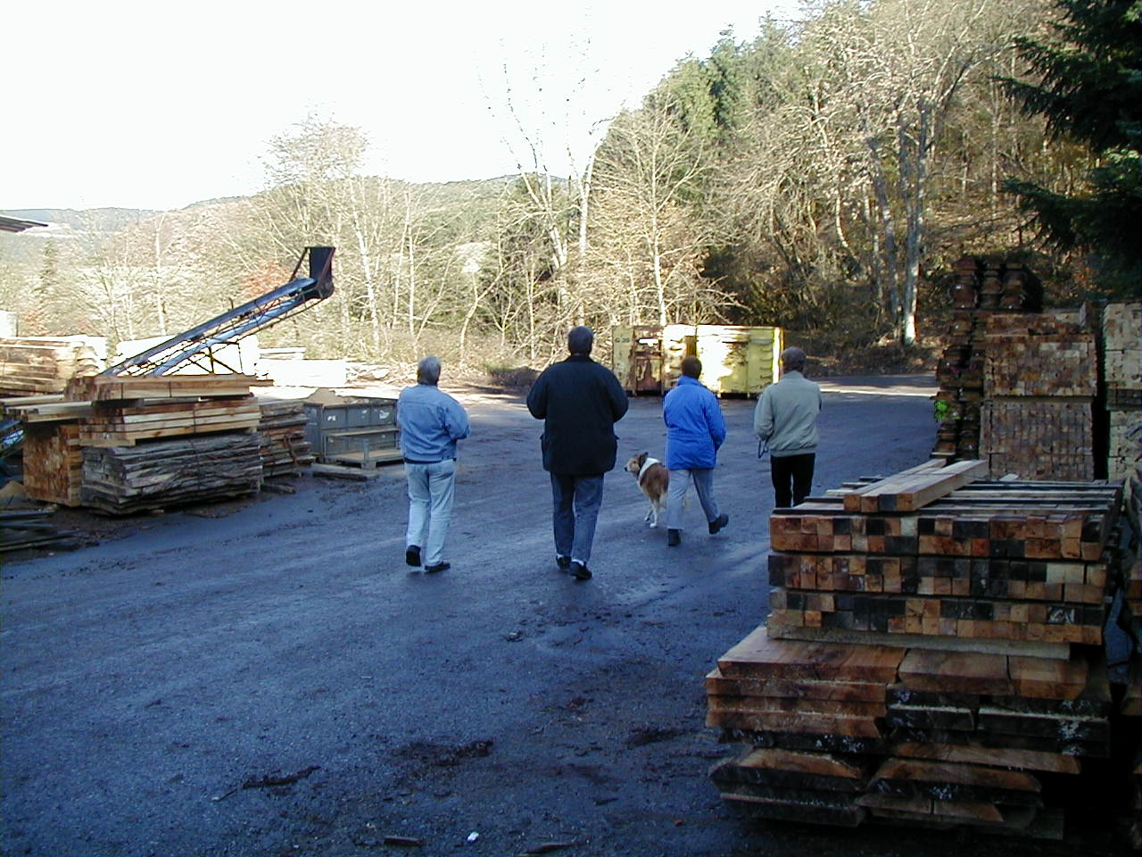 ../pic/filmtreffen2003065.jpg
